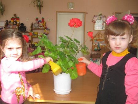 «Ми прагнемо від гармонії руху досягти гармонії душі!» «Ми прагнемо від гармонії руху досягти гармонії душі!»