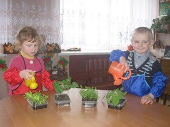 Нове та незвідане тих малят чекає, Хто на підвіконні власну грядку має! Нове та незвідане тих малят чекає, Хто на підвіконні власну грядку має!