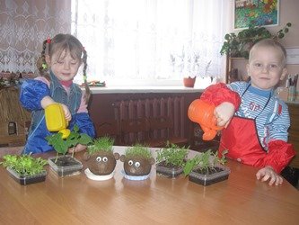 Нове та незвідане тих малят чекає, Хто на підвіконні власну грядку має! Нове та незвідане тих малят чекає, Хто на підвіконні власну грядку має!